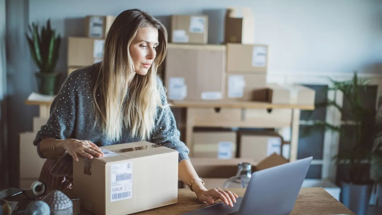 Dropshipping Supplier 