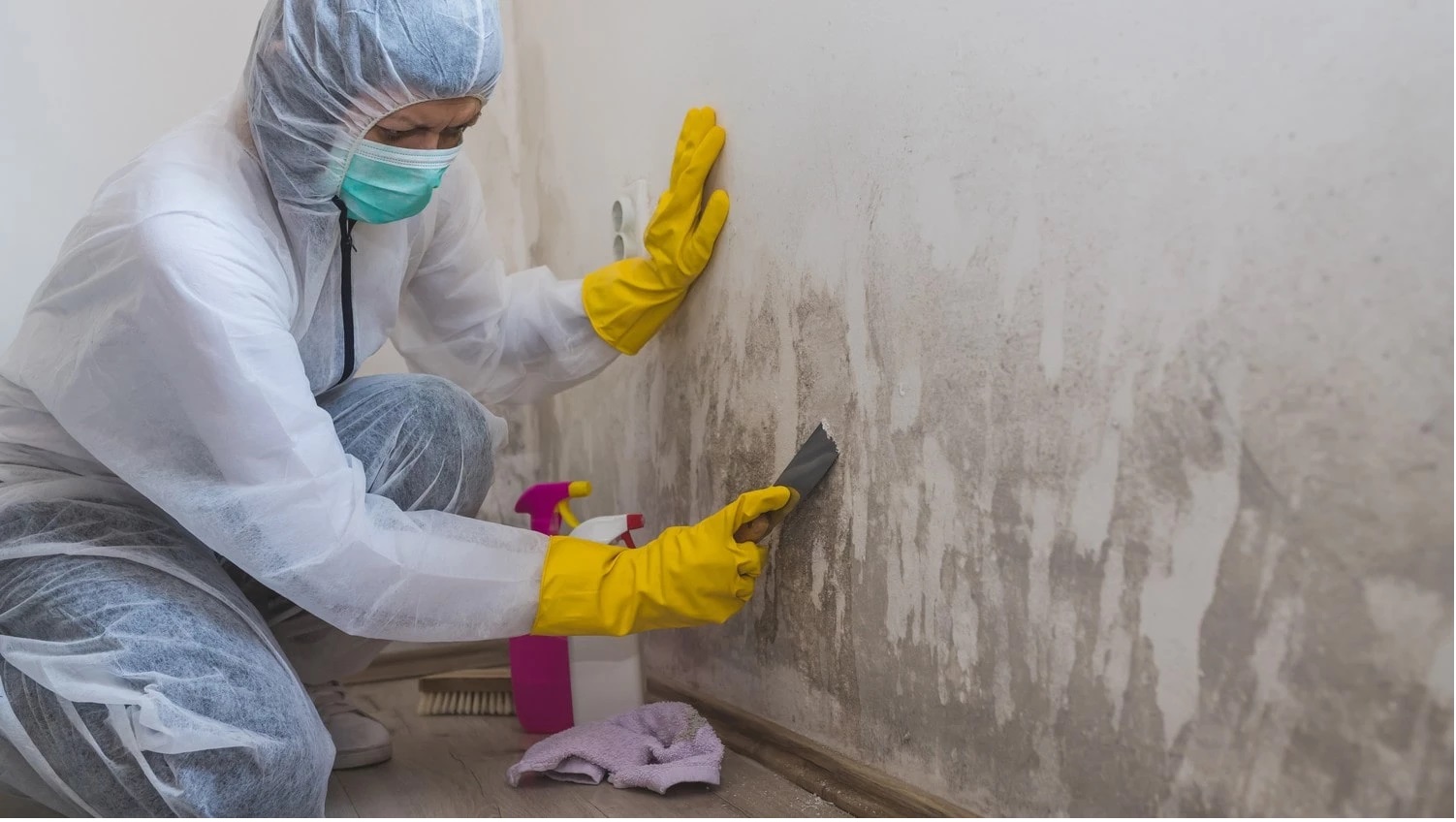 Mould Removal